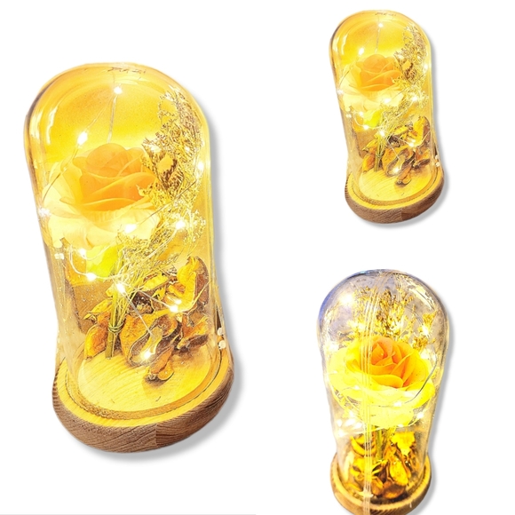 Silk Rose real preserved rose petals with Led Light String batteries Included - Picture 3 of 16